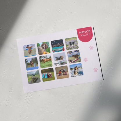 2026 Agility Wall Calendar