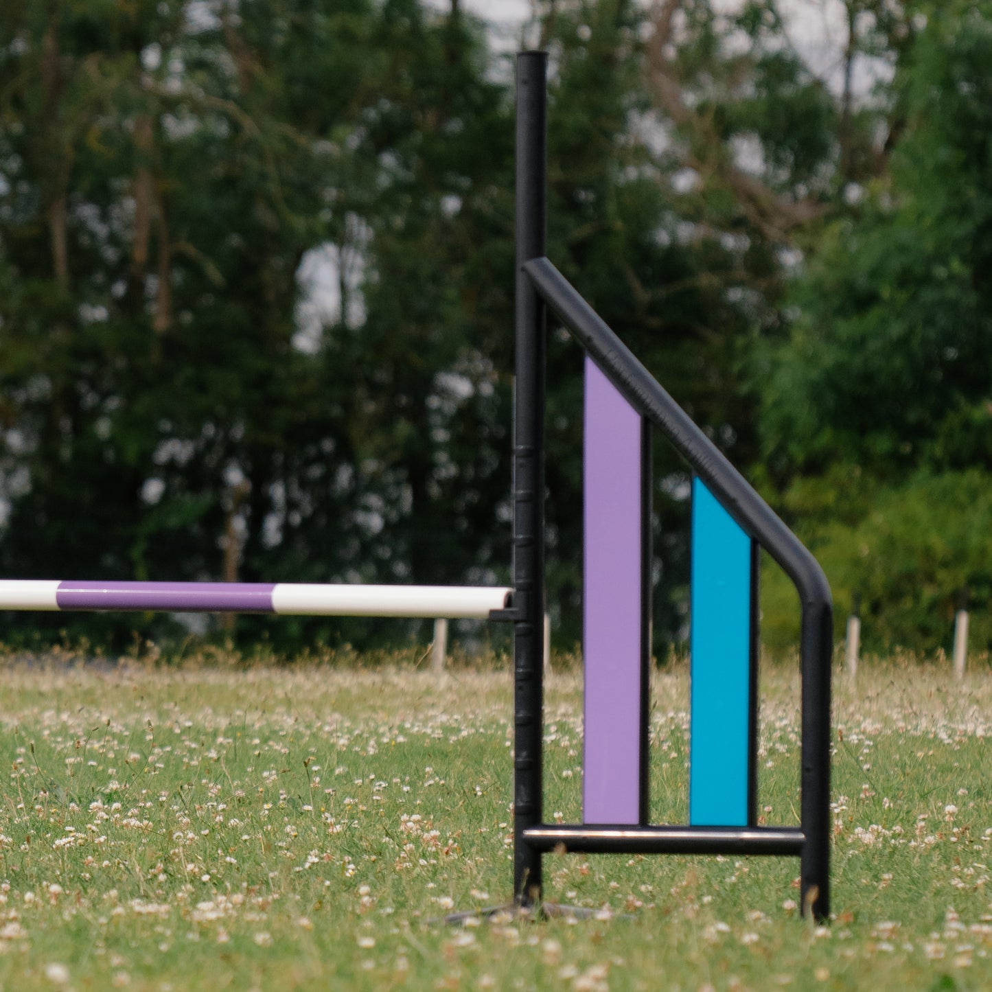 Black Plastic Agility Jump
