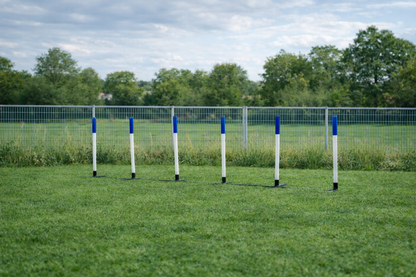 Standard Competition Weaves