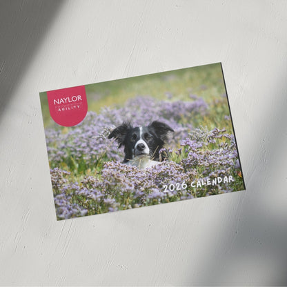 2026 Agility Wall Calendar